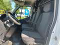 Nissan NV400 Kasten 2.3dCi L1H1/SCHECKH+WERKSTATT-REGAL Weiß - thumbnail 10