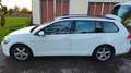 Volkswagen Golf Variant Golf Variant Rabbit BlueMotion 1,5 TGI DSG Rabbit Weiß - thumbnail 6