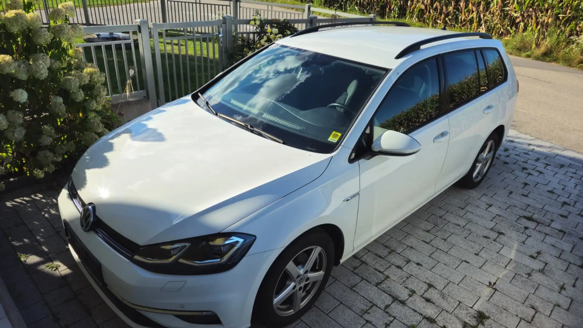 Volkswagen Golf Variant Golf Variant Rabbit BlueMotion 1,5 TGI DSG Rabbit Weiß - 1