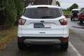 Ford Kuga Trend 5trg. 1.5TDCI 120PS 6Gang Wit - thumbnail 8