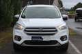 Ford Kuga Trend 5trg. 1.5TDCI 120PS 6Gang Wit - thumbnail 2