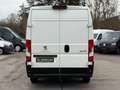 Peugeot Boxer 335 L2H2 Premium KLIMA KAMERA SORTIMO AHK Blanc - thumbnail 4