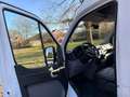 Hyundai H 350 150PK|EURO6|airco|cruise|achteruitrijcamera|3000KG Weiß - thumbnail 13