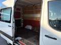 Hyundai H 350 150PK|EURO6|airco|cruise|achteruitrijcamera|3000KG Weiß - thumbnail 12