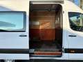 Hyundai H 350 150PK|EURO6|airco|cruise|achteruitrijcamera|3000KG Weiß - thumbnail 11