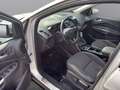 Ford Kuga Kuga 2,0 TDCi Titanium Start/Stop Powershift Aut. AWD Titanium Grau - thumbnail 10