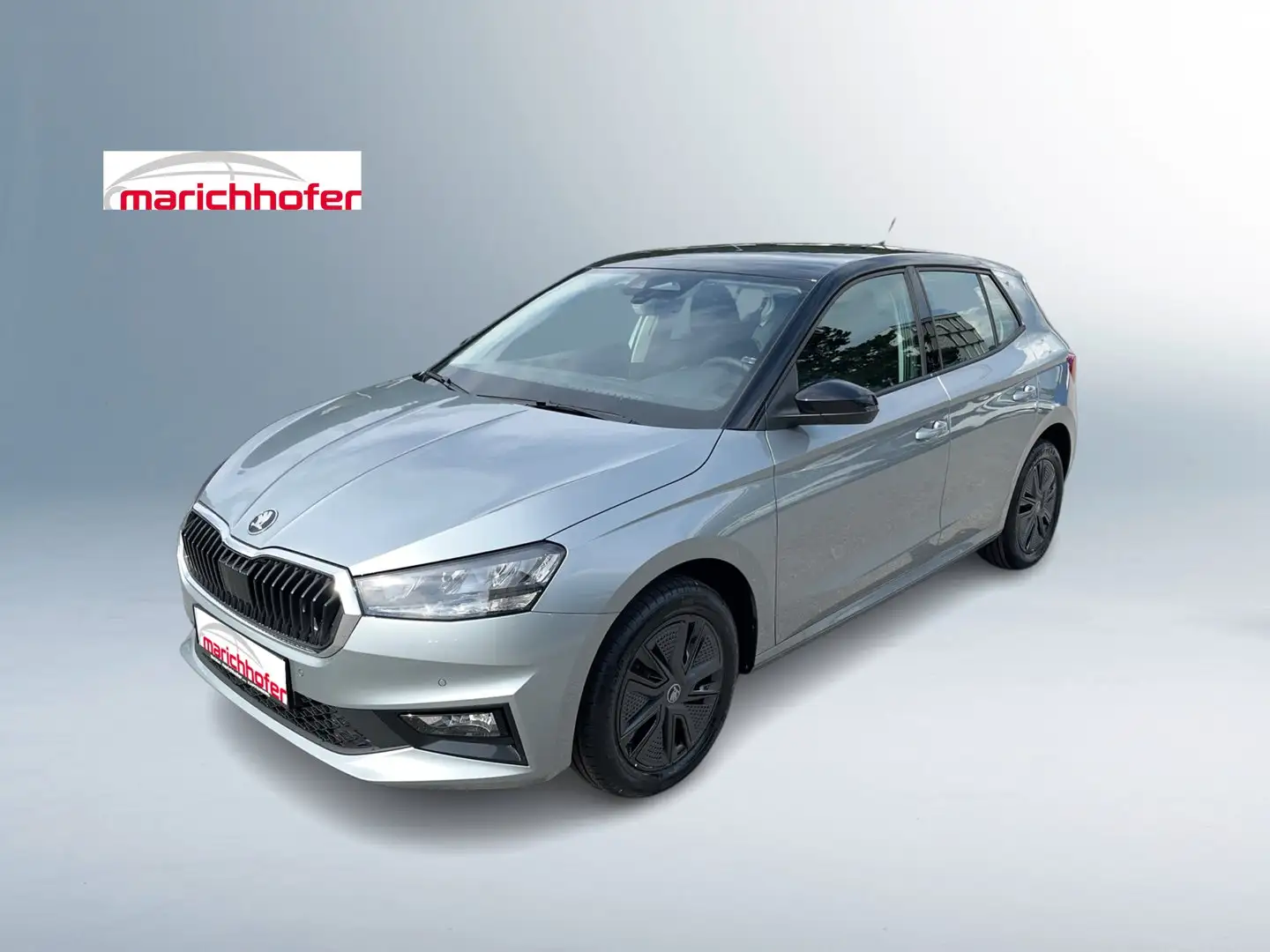 Skoda Fabia Selection TSI Silber - 1