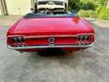 Ford Mustang FORD MUSTANG Rood - thumbnail 2