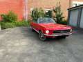 Ford Mustang FORD MUSTANG Rood - thumbnail 10