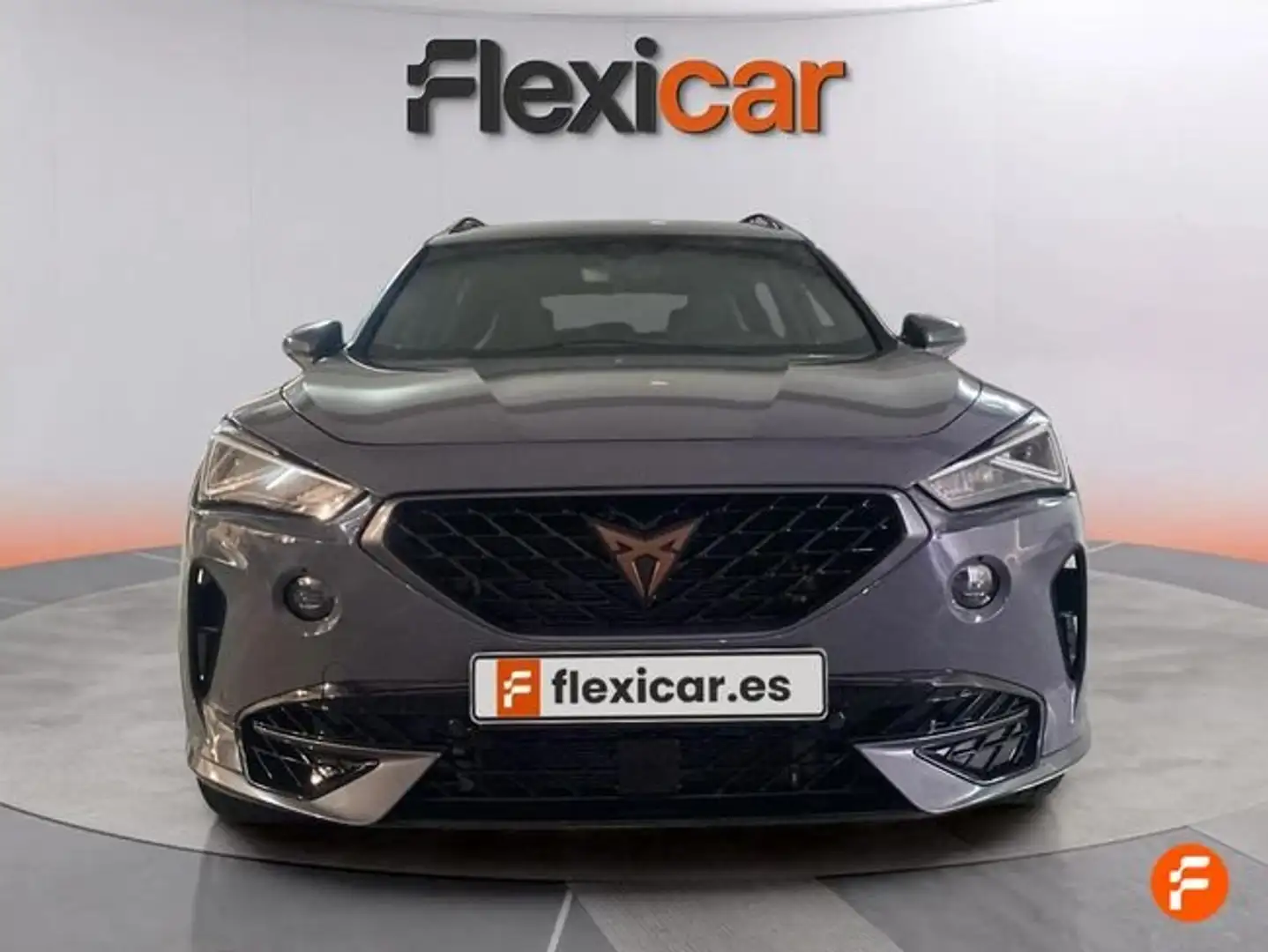 CUPRA Formentor 2.0 TSI 228kW (310 CV) VZ 4Drive DSG Gris - 1