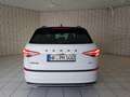 Skoda Kodiaq Sportline 2.0 TDI DSG 4x4 SCR White - thumbnail 22