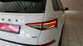 Skoda Kodiaq Sportline 2.0 TDI DSG 4x4 SCR White - thumbnail 5