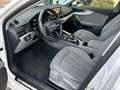 Audi A4 A4 Avant 40 2.0 tdi quattro 190cv s-tronic Bianco - thumbnail 8