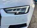 Audi A4 A4 Avant 40 2.0 tdi quattro 190cv s-tronic Bianco - thumbnail 7