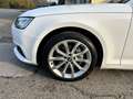 Audi A4 A4 Avant 40 2.0 tdi quattro 190cv s-tronic Bianco - thumbnail 6
