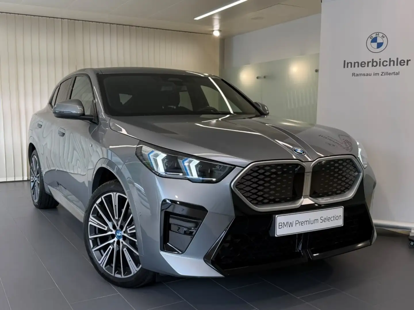 BMW iX2 eDrive20 Grau - 1