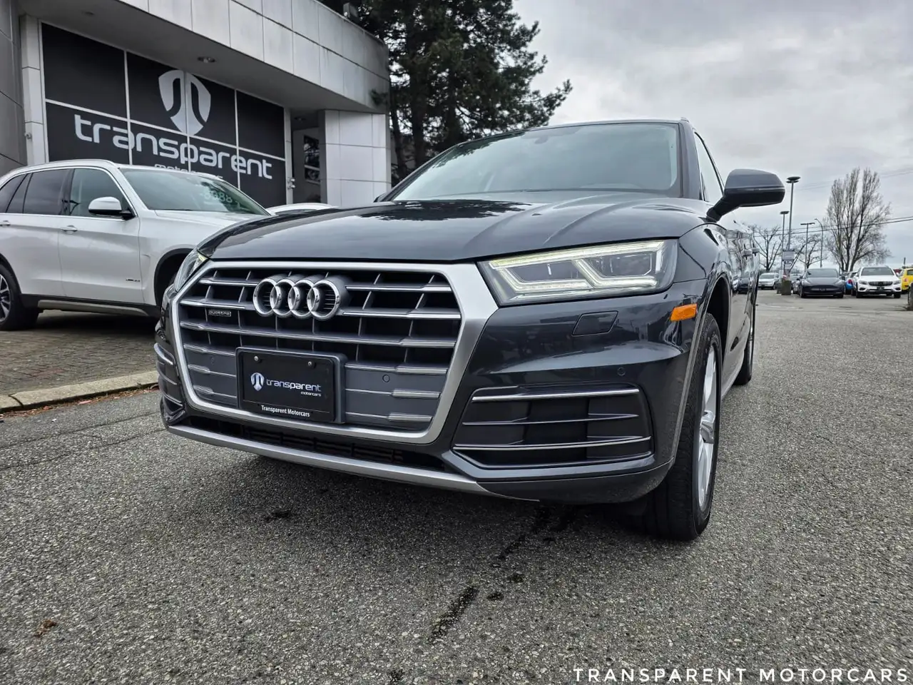 Audi Q5 fotografie Audi Q5