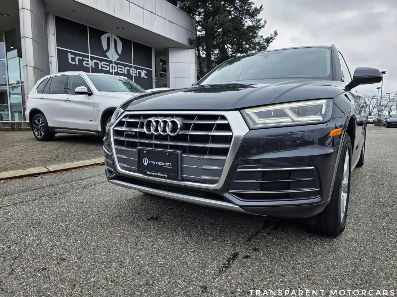 Audi Q5 fotografie Audi Q5