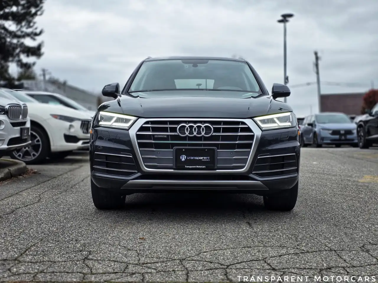 Audi Q5 fotografie Audi Q5