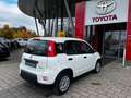 Fiat Panda Hybrid 1.0 GSE, KLIMAANLAGE, RADIO, 6-GANG Weiß - thumbnail 5
