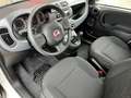 Fiat Panda Hybrid 1.0 GSE, KLIMAANLAGE, RADIO, 6-GANG Weiß - thumbnail 8