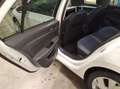 Volkswagen Golf VIII 1.5 TSI DSG eHybrid Goal FrontAssist L Weiß - thumbnail 5