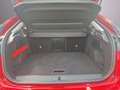 Citroen C4 e-C4 136 50kWh Shine Rot - thumbnail 18