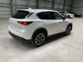 Mazda CX-5 Exclusive-Line *ACC*LED*BOSE*360*HeadUp* Alb - thumbnail 5