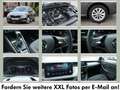 Skoda Scala 1.0 TSI Ambition DSG*PDC*ALU*ACC*NSW Grau - thumbnail 6