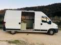 Fiat Ducato Ducato 14 231.620.1 L2B Weiß - thumbnail 2