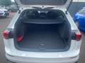 Volkswagen Golf Variant Golf VIII Variant 1.5 eTSI DSG R-Line Navi ACC Weiß - thumbnail 15