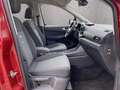 Ford Grand Tourneo Connect 1.5 EB Active*7-Sitze*AHK* Rojo - thumbnail 6
