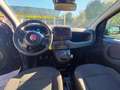 Fiat Panda PANDINA FIREFLY HYBRID PREZZO VERO Nero - thumbnail 8