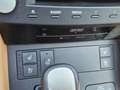 Lexus RC 300h RC 300h Luxury Line Grau - thumbnail 11