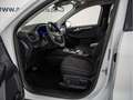 Ford Kuga Titanium 2.5l FHEV +SYNC 4+BLIS+LED Weiß - thumbnail 7