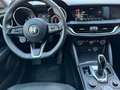 Alfa Romeo Stelvio Stelvio 2.2 t Business Q4 190cv auto Weiß - thumbnail 8