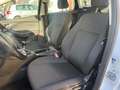 Ford Focus Wagon 1.0 Airco|APK|BEURT Blanc - thumbnail 10