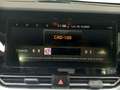 Kia Niro DRIVE PLUG-IN HYBRID 1.6 105CV AT6 E6D Bleu - thumbnail 14