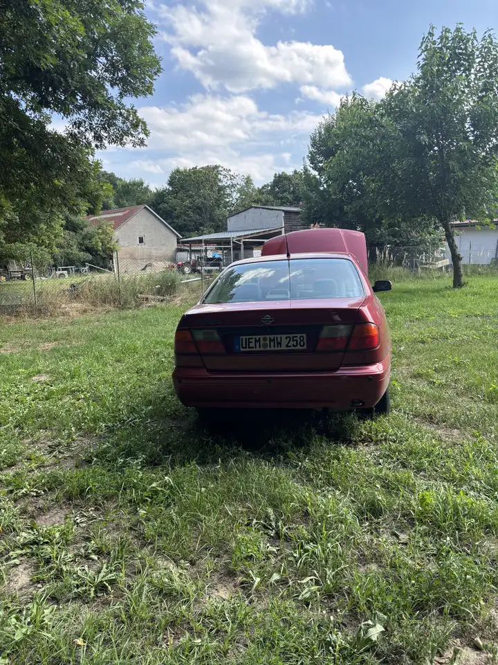 Nissan Primera 2.0 Competence, foto 7