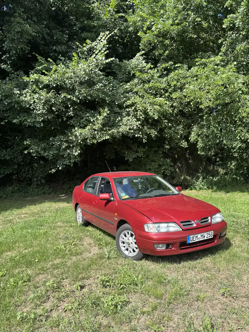 Nissan Primera 2.0 Competence Rot - 2