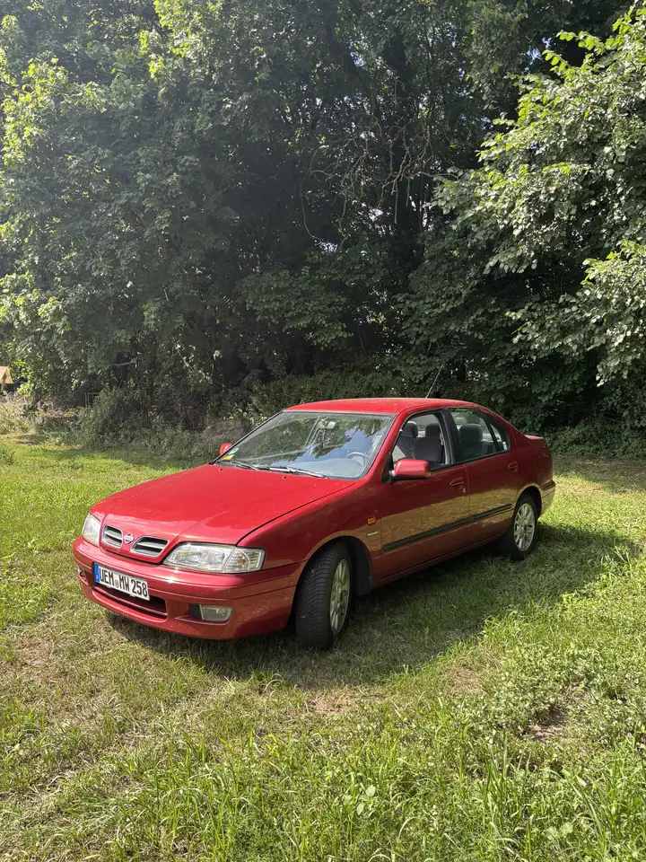 Nissan Primera 2.0 Competence, foto 3