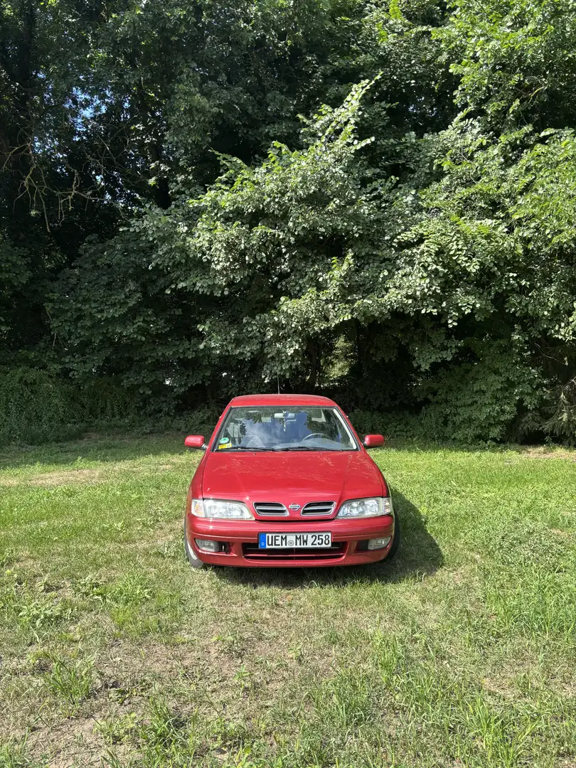 Nissan Primera 2.0 Competence Rot - 1