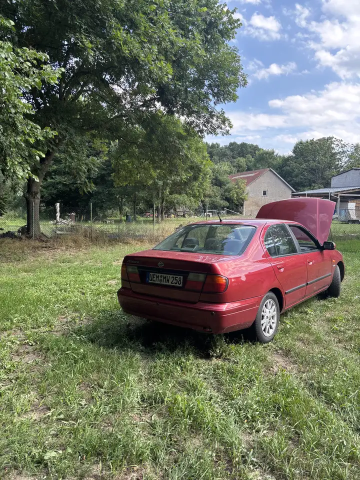 Nissan Primera 2.0 Competence, foto 6