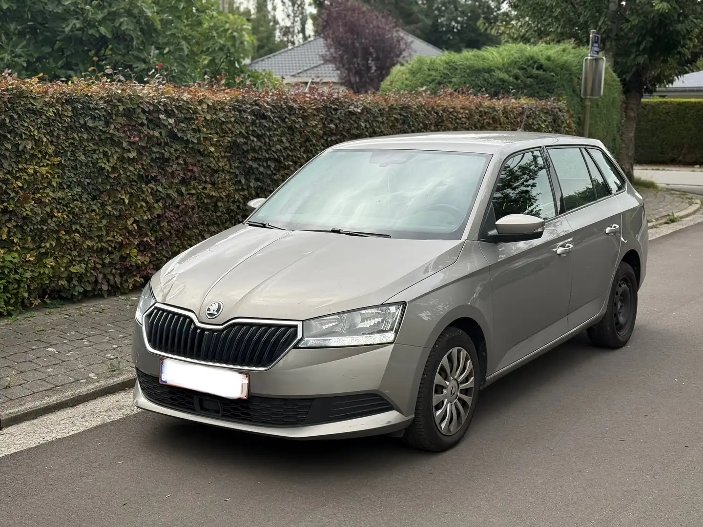 Skoda Fabia Fabia SW 1.0 TSI Black Edition DSG Beige - 1