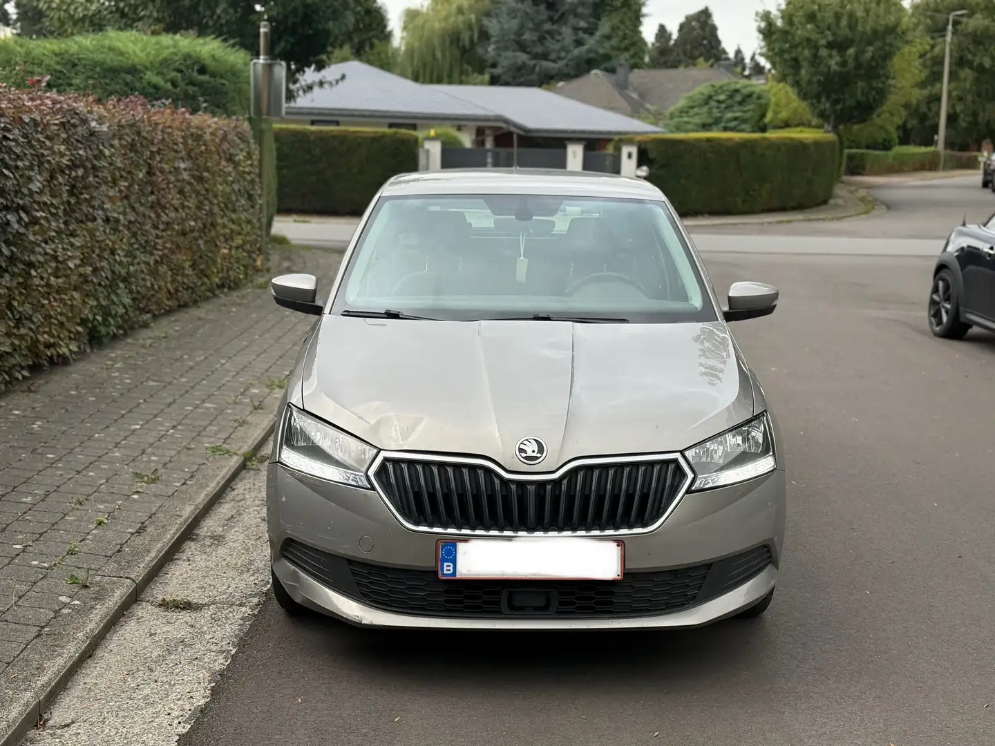 Skoda Fabia Fabia SW 1.0 TSI Black Edition DSG Beige - 2