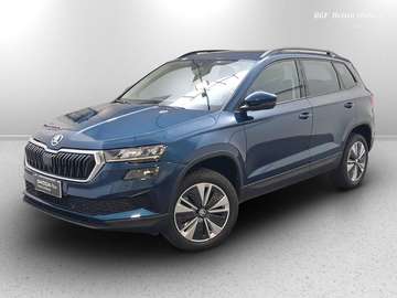 2.0 tdi evo scr Executive 115cv dsg