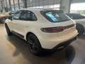 Porsche Macan 2.0 T Bianco - thumbnail 4