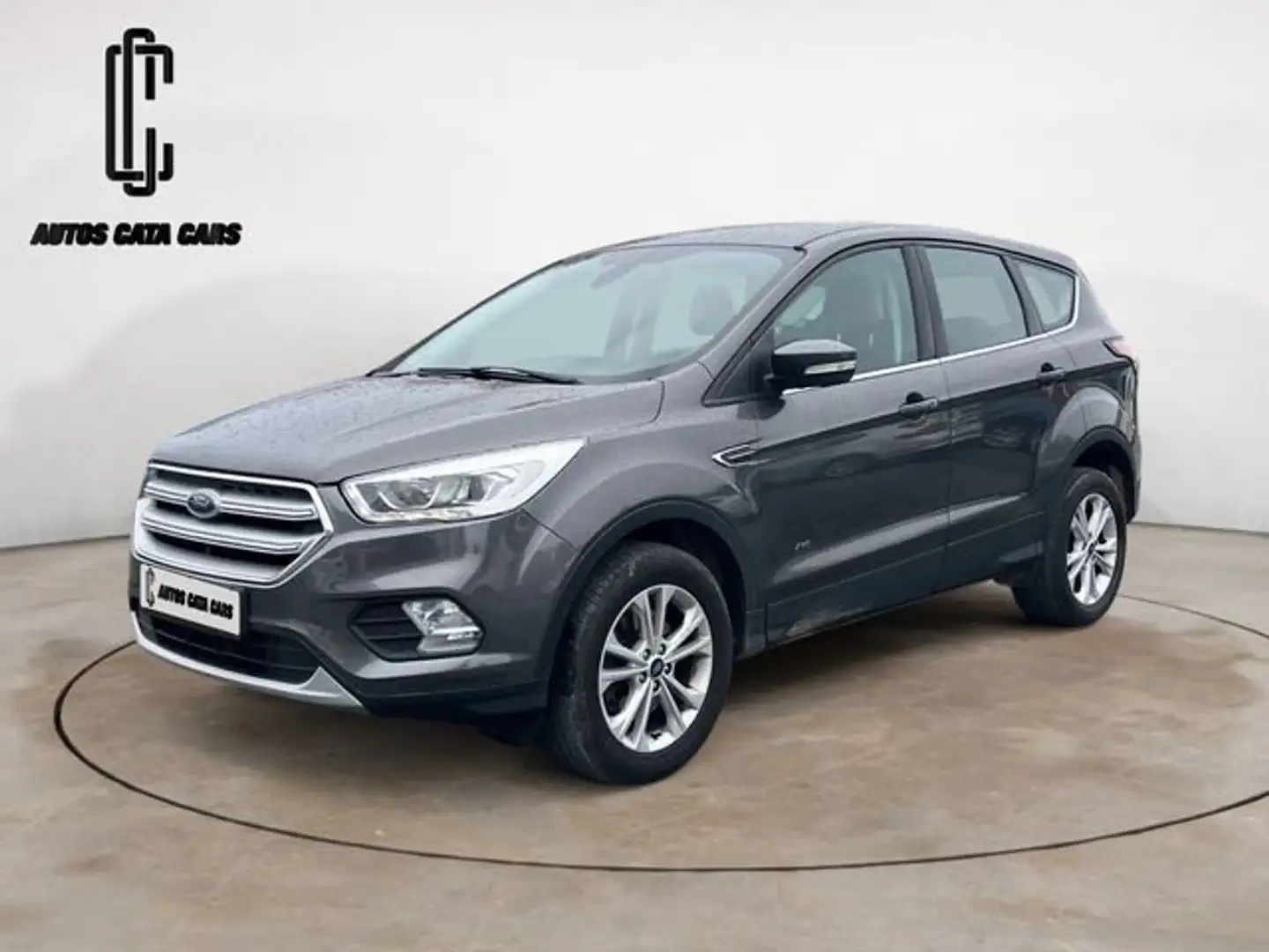 Ford Kuga 2.0TDCi Auto S&S Titanium 4x4 180 Gris - 2
