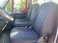Iveco Daily 35 S140 - CASSONE FISSO NUOVO 4.30 mt Rood - thumbnail 11