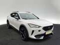 CUPRA Formentor 1.5 TSI DSG Navi Kamera Sitzhzg Weiß - thumbnail 5